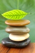 tl_files/tienaprax/Bilder/11160476_th.jpg
